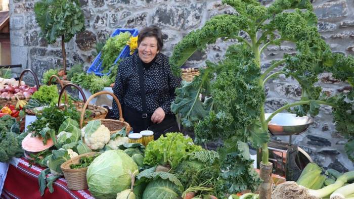 GOIZUETA FERIA EGUNA (GOIZUETA)