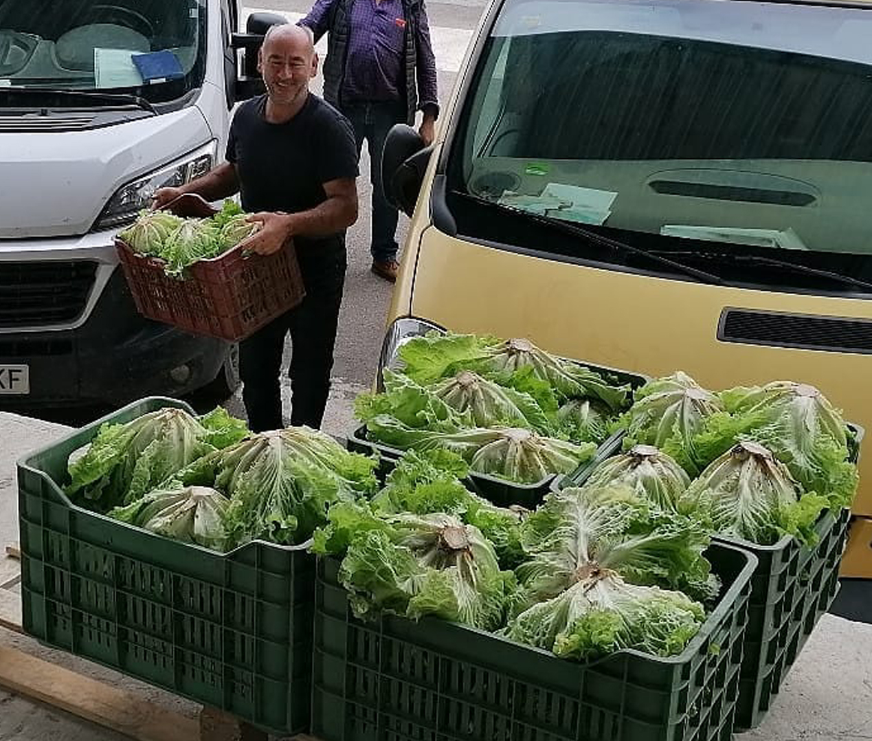 JULIAN AZCONA EZCURRA (Puente la Reina / Gares)