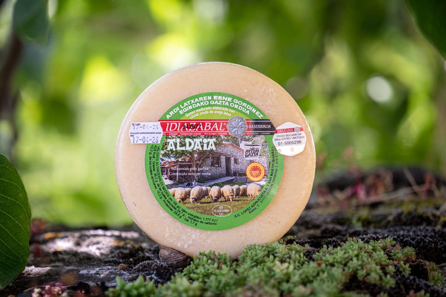 QUESERÍA ALDAIA (Lezáun)