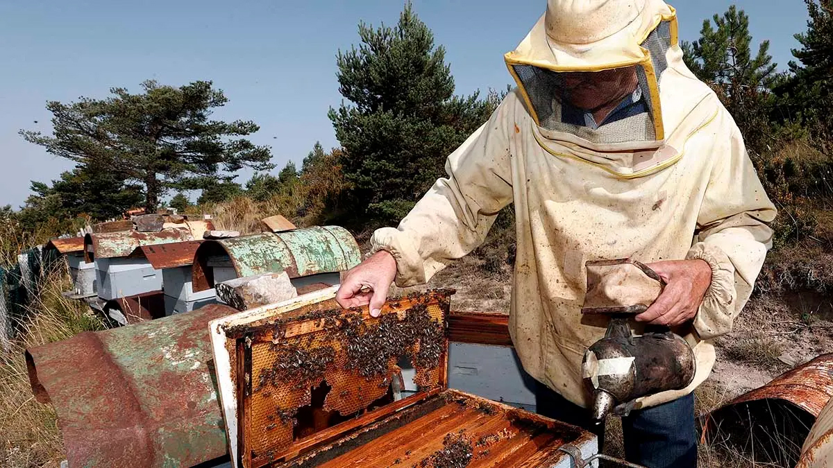JESUS MARI RODRIGO SEMBEROIZ (Navascués / Nabaskoze)