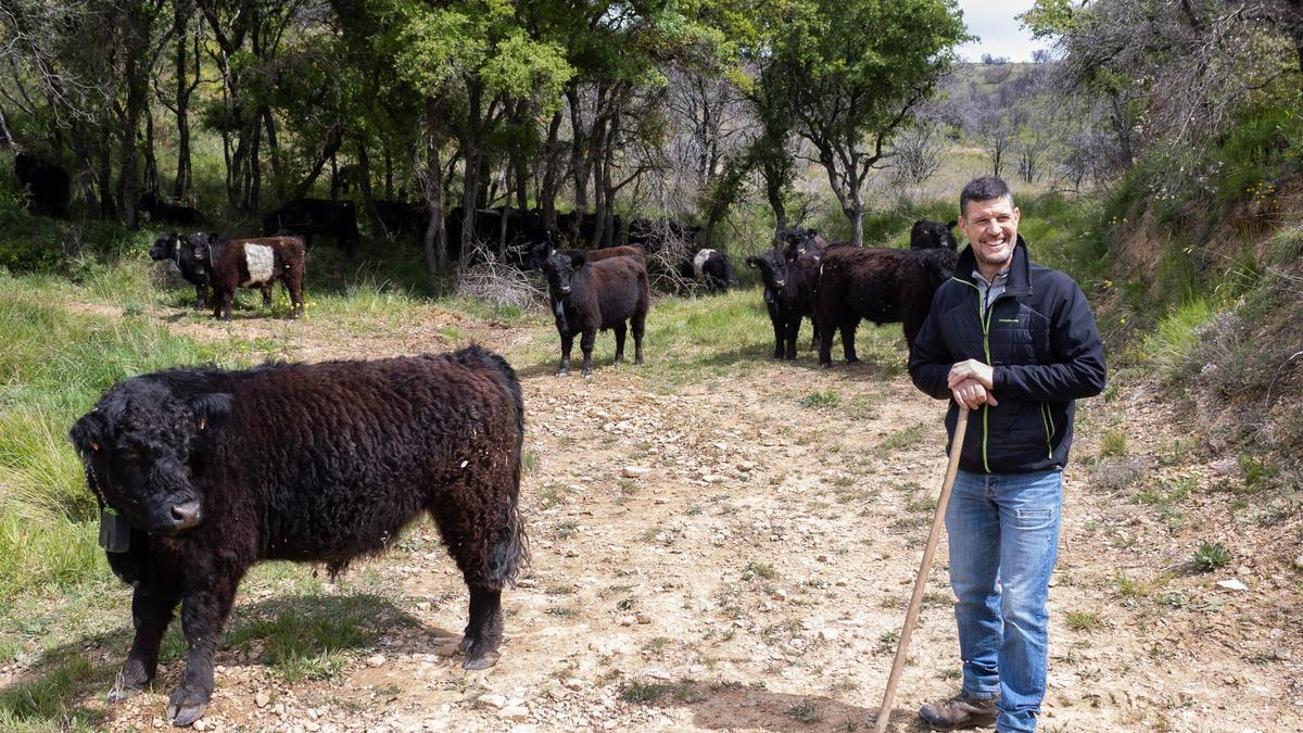 ADELARDO PATERNAIN CADENA. (VILLAVA/ATARRABIA)