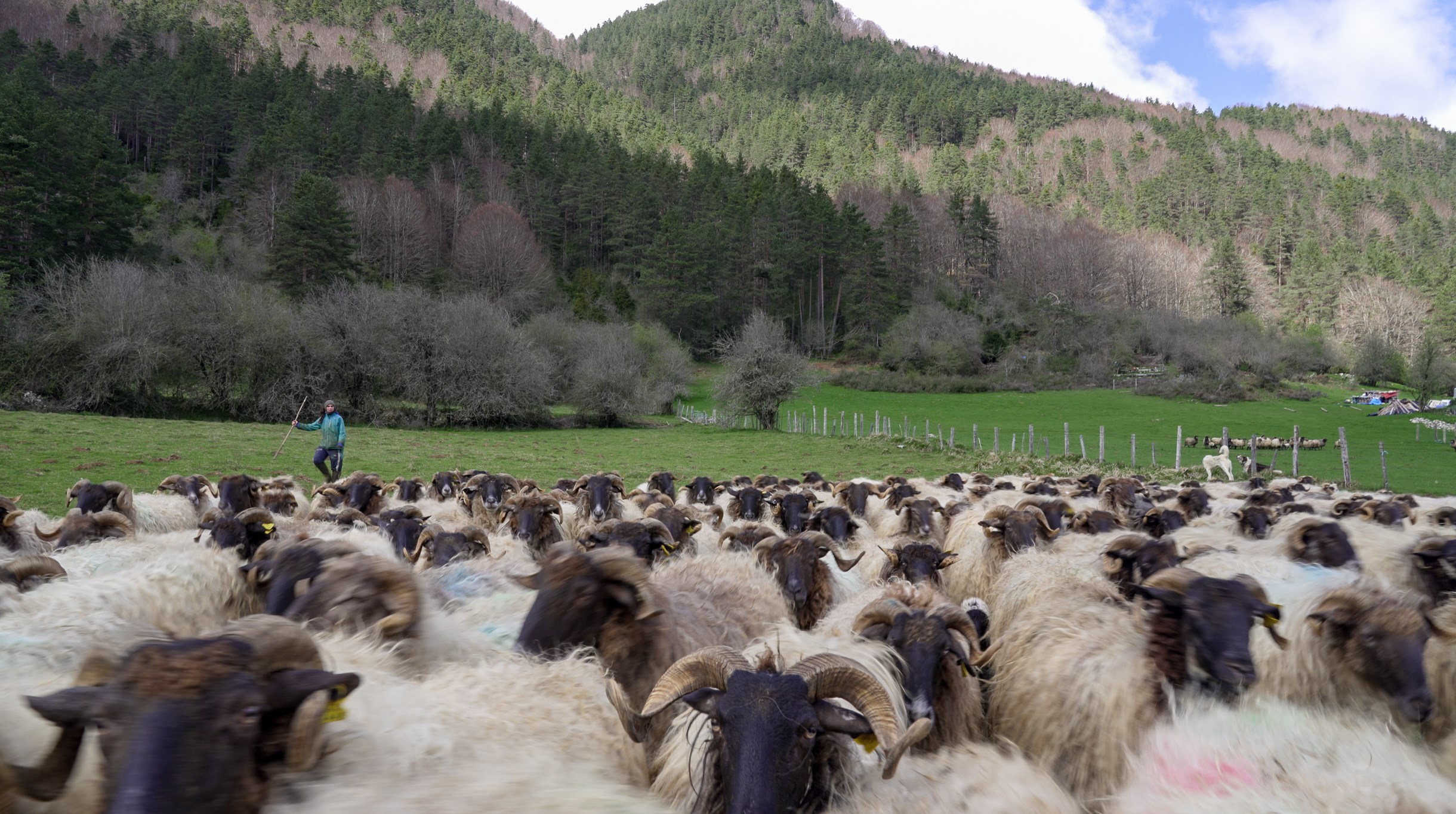 QUESERÍA MARENGO GAZTANDEGIA (Isaba)