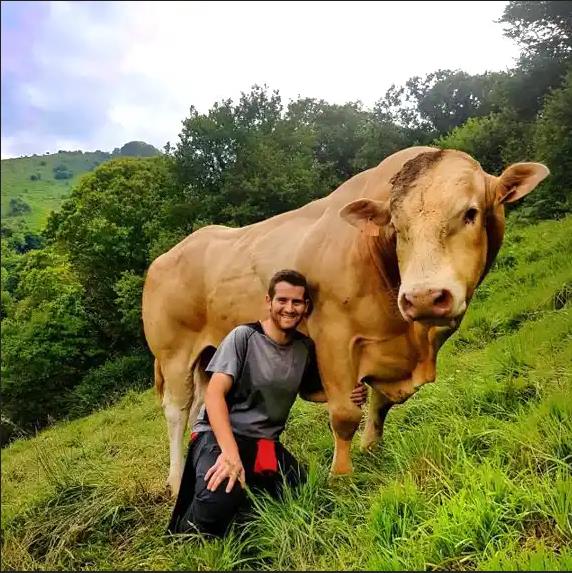 BEITIKOTX ABEREAK  (Almandoz)