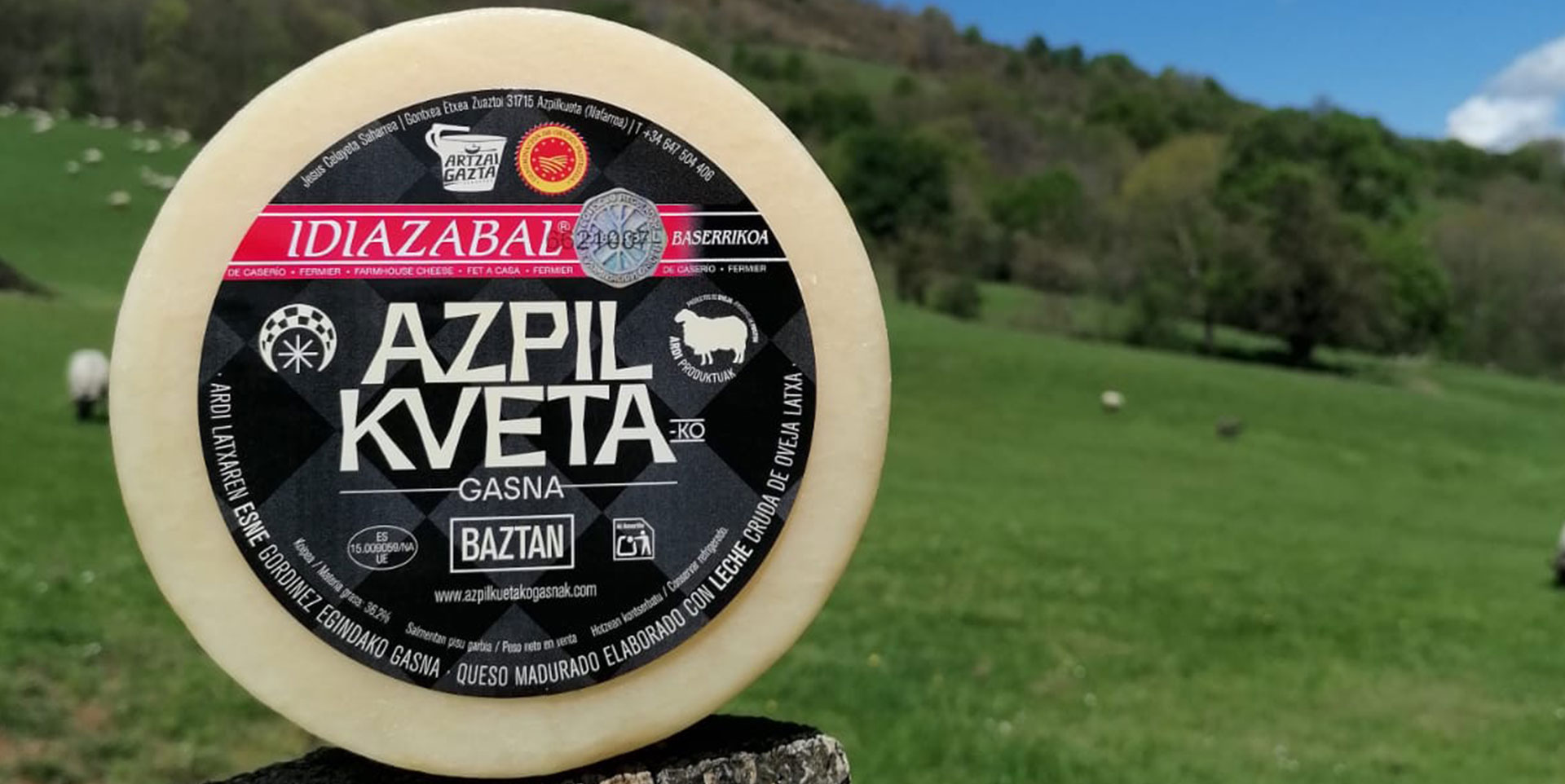 AZPILKUETAKO GASNA - JESÚS CELAYETA SAHARREA (Azpilkueta)