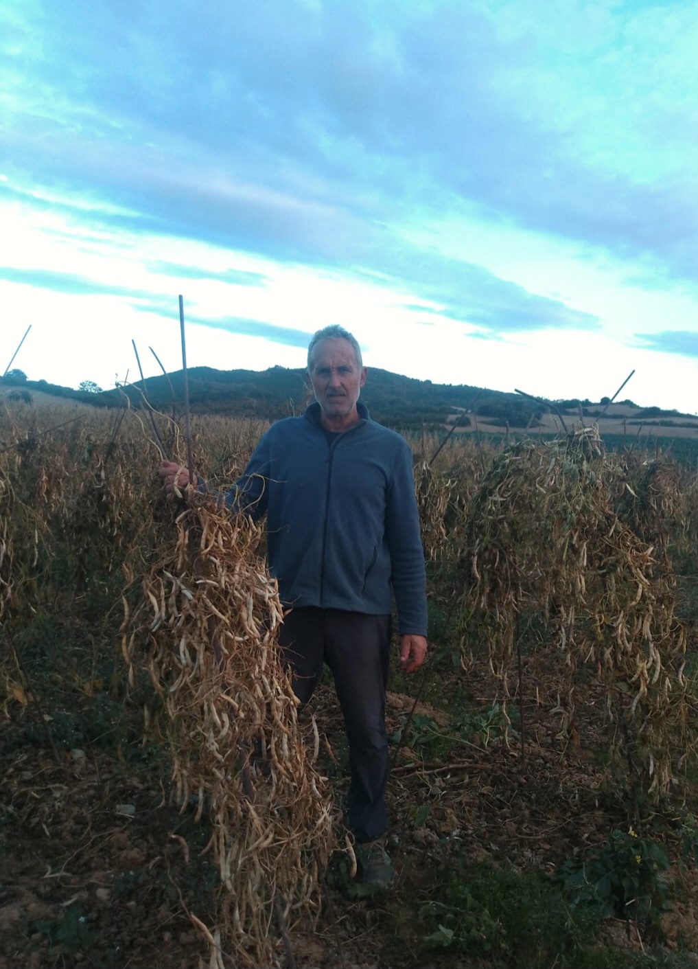 JAIME SALVADOR ALEGRIA PASCUAL (Abaigar)