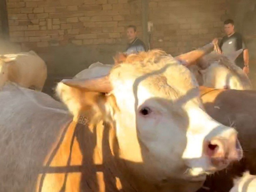 JOSÉ MIGUEL RODRÍGUEZ MATEO (Cabanillas)