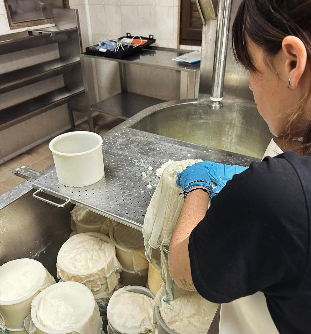 POKE GAZTAK (Etxarri Aranatz)