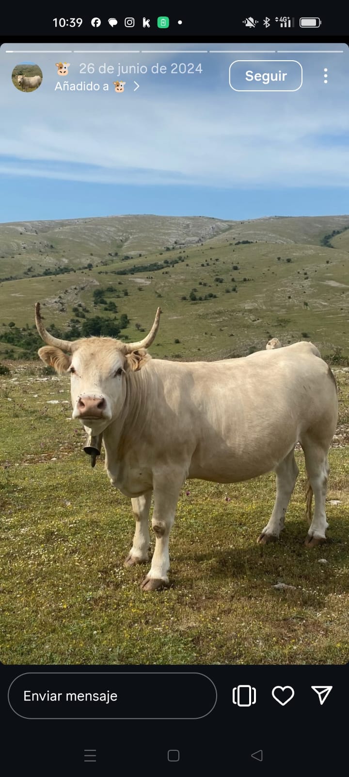 ROBERTO SENOSIAIN OCHOTORENA (Iturgoyen)