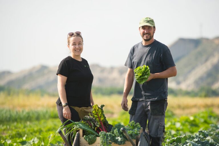 EL PUENTE VIEJO (Caparroso)