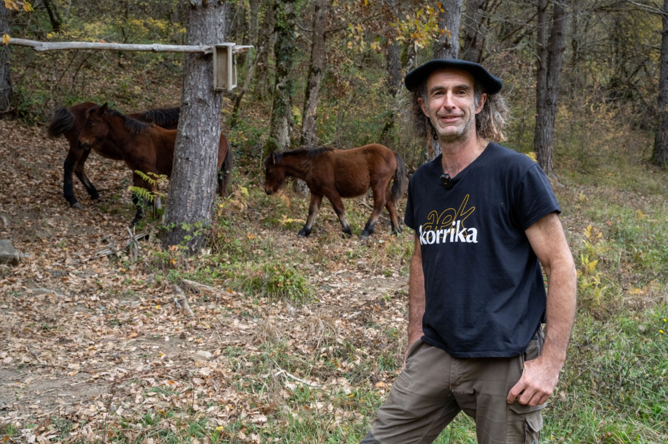 ZALDIZKO ARAGIA (Izalzu / Itzaltzu)