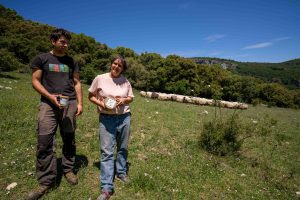 AXURIBELTZ (Iturgoyen)