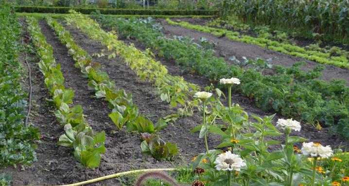 RAFAEL VENTOSA LÓPEZ (Puenta la Reina / Gares)